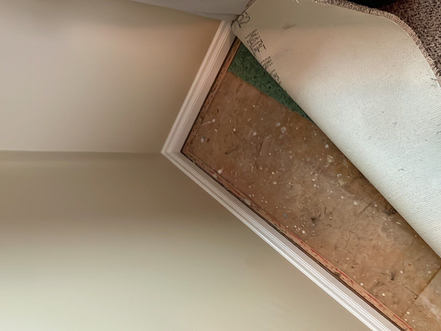 Project in Novi by EzDry Water Mitigation & Property Restoration