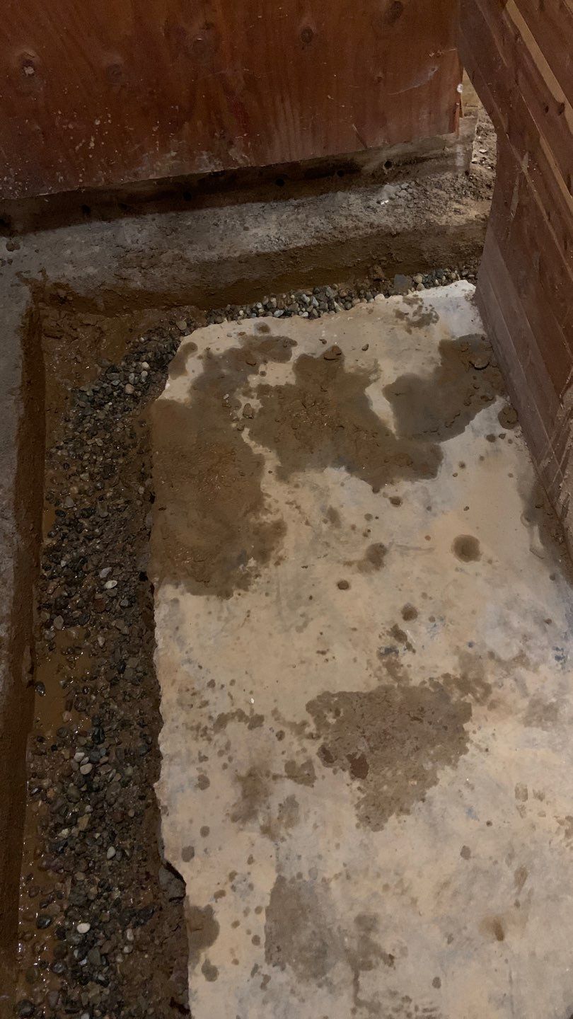 Upgrading Nicole & Gary’s 1960s Beaver System in St. Paul by Waterproofing Northeast