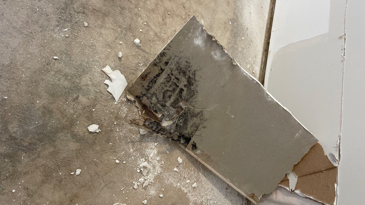 Interior Drain Tile & Sump Pump in Lino Lakes, MN by Waterproofing Northeast