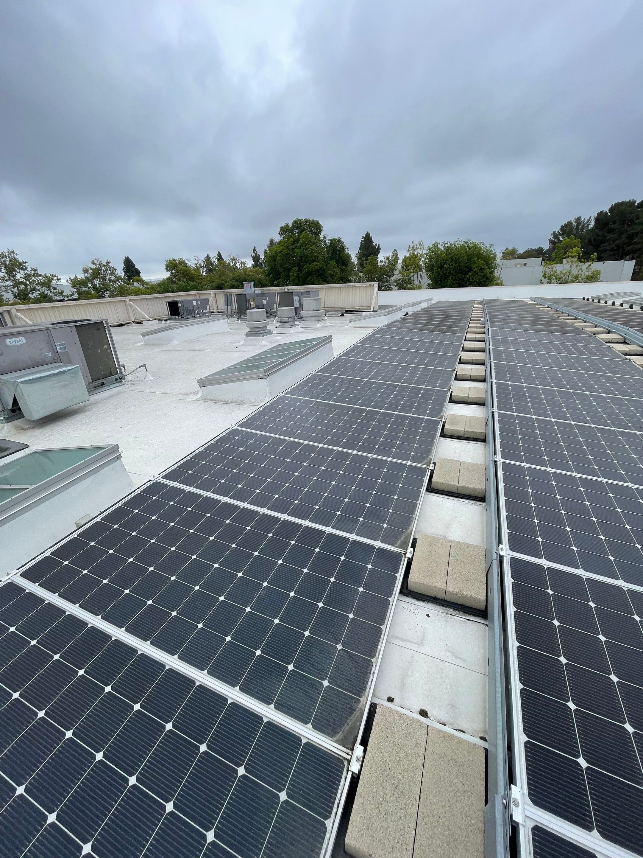 Commercial Solar Cleaning by Palm Coast Solar Cleaning