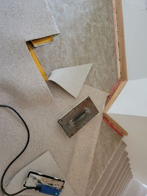 Repair and Cleaning of Wool Carpeting