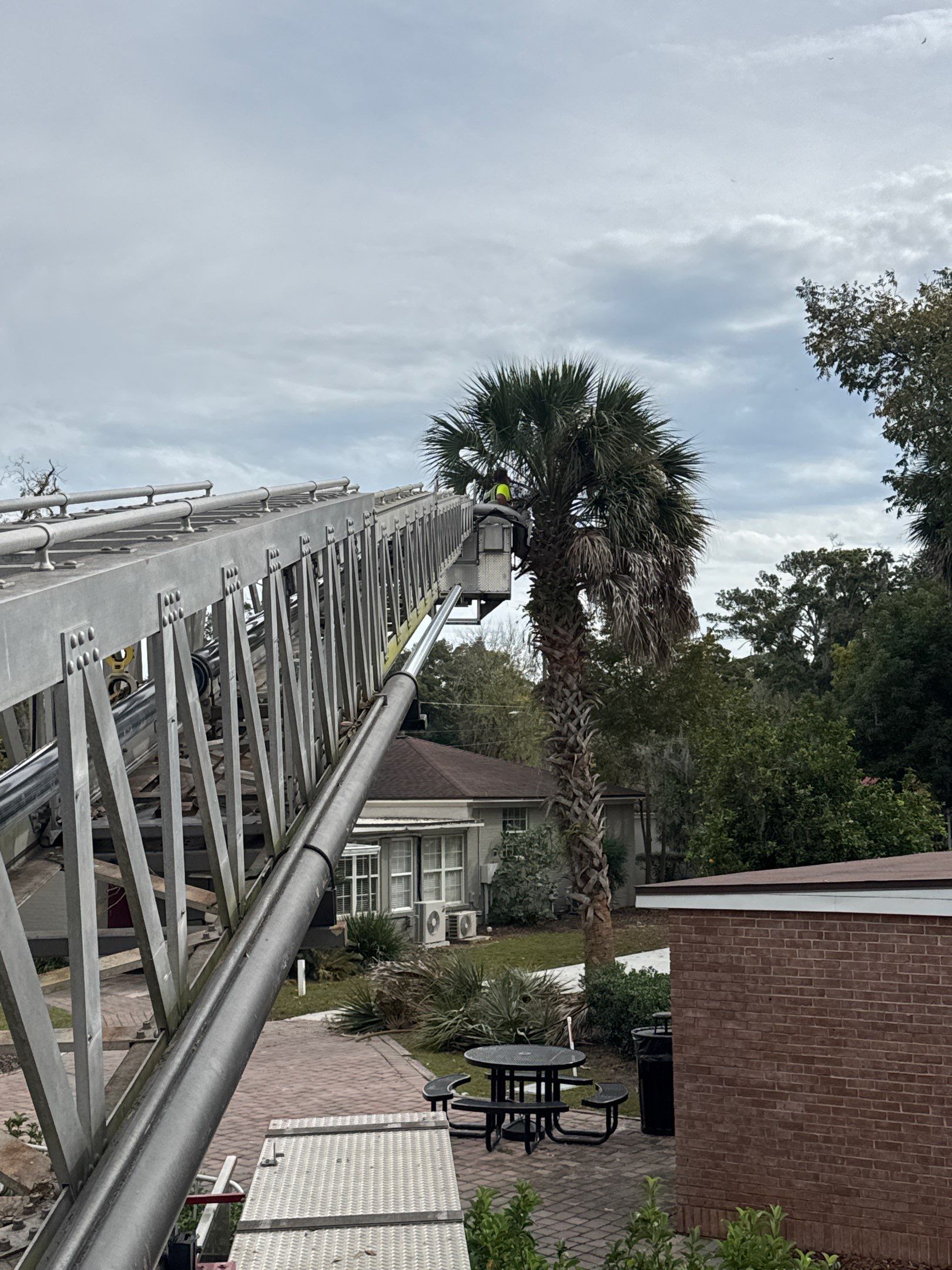 Volunteer Work | Episcopal High School of Jacksonville by ProGreen Services