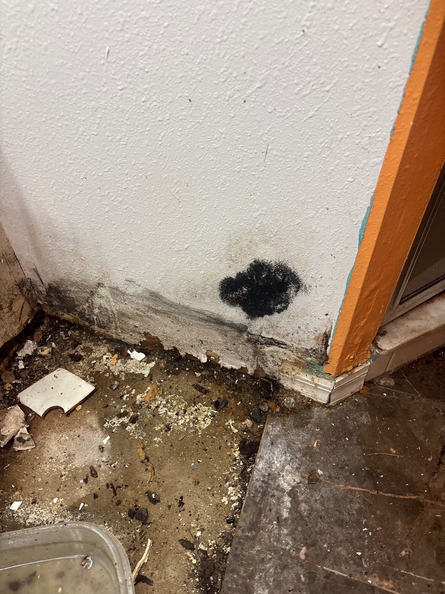 Mold Inspection & Removal In Riverview, FL by Ampm Restoration Services