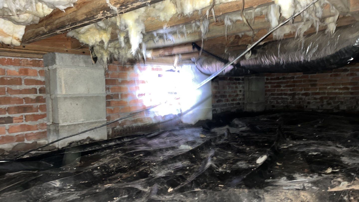 Impact Choice Encapsulation using YCS Pro Cleaner by Impact Crawlspace