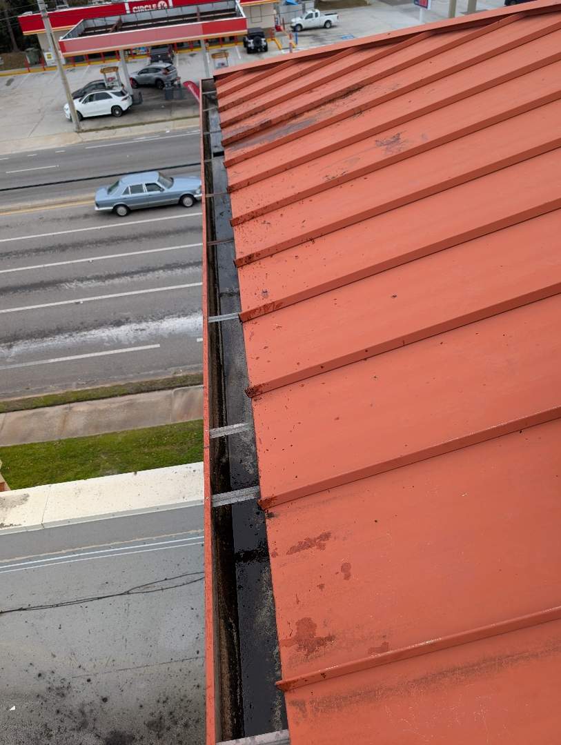 Retail roof & gutter cleaning after cleaning photo.