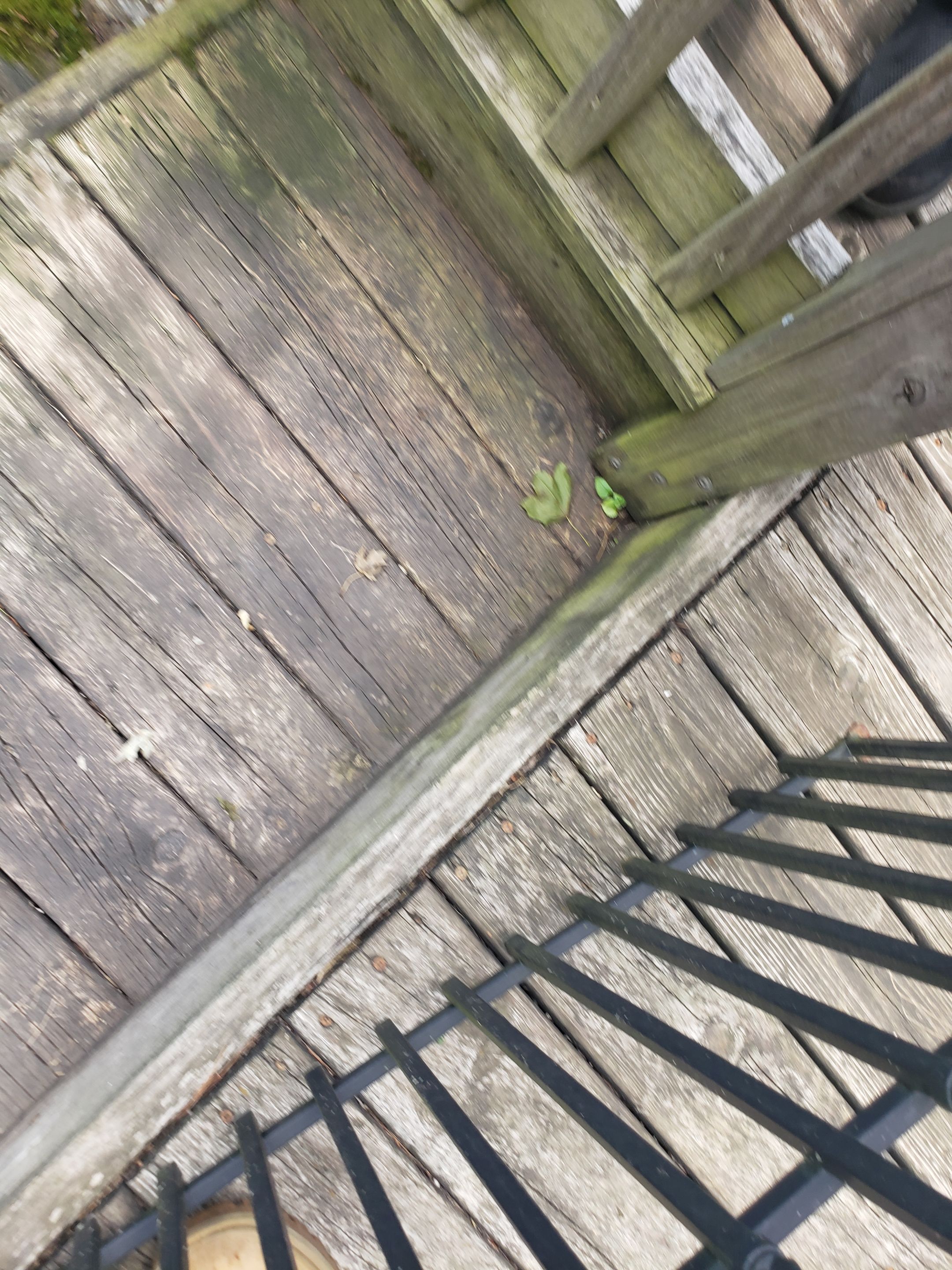 Isaac's Deck Restoration by Map Quality Fencing & Decks