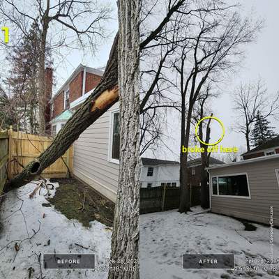 Emergency Job: Climber & Insurance Photos