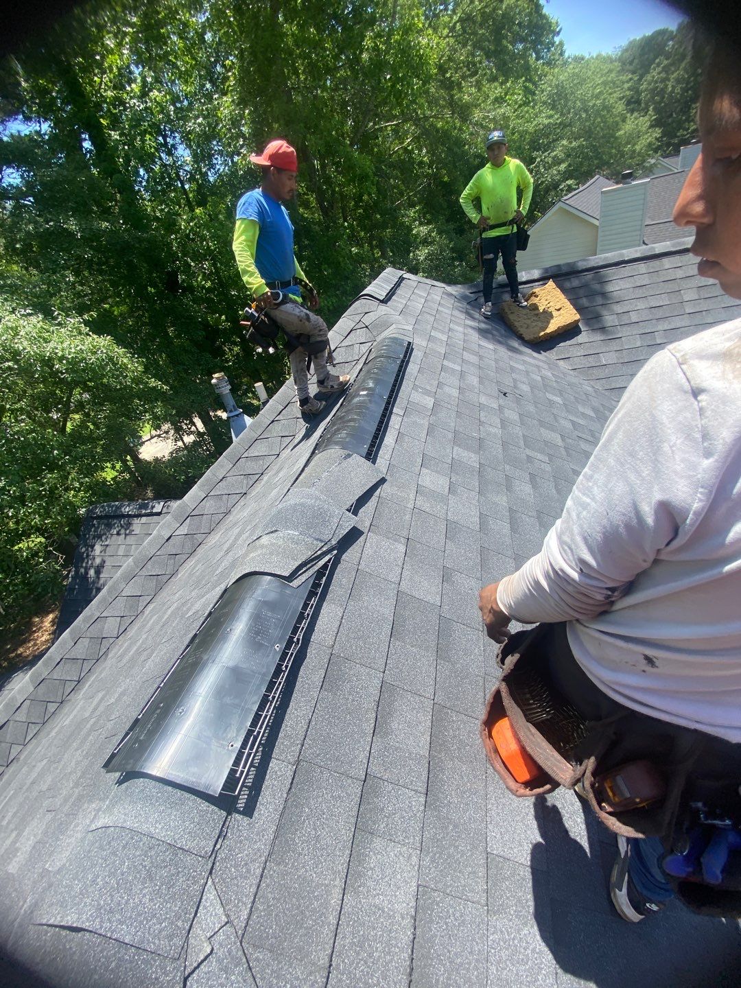 Rotten Wood by Roof Bullies