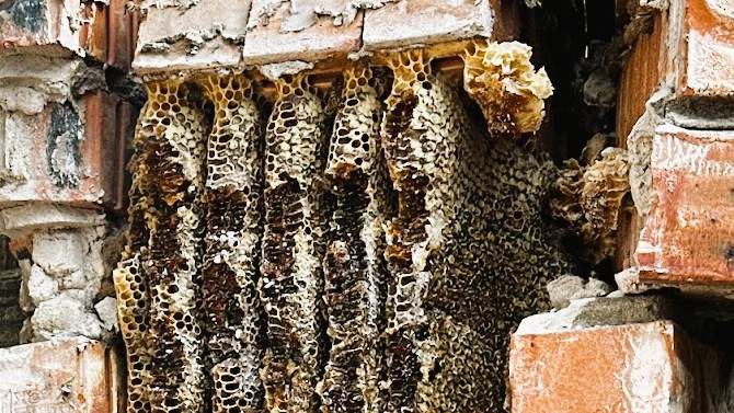 Brick Column by Rockwall Honey Bee Company