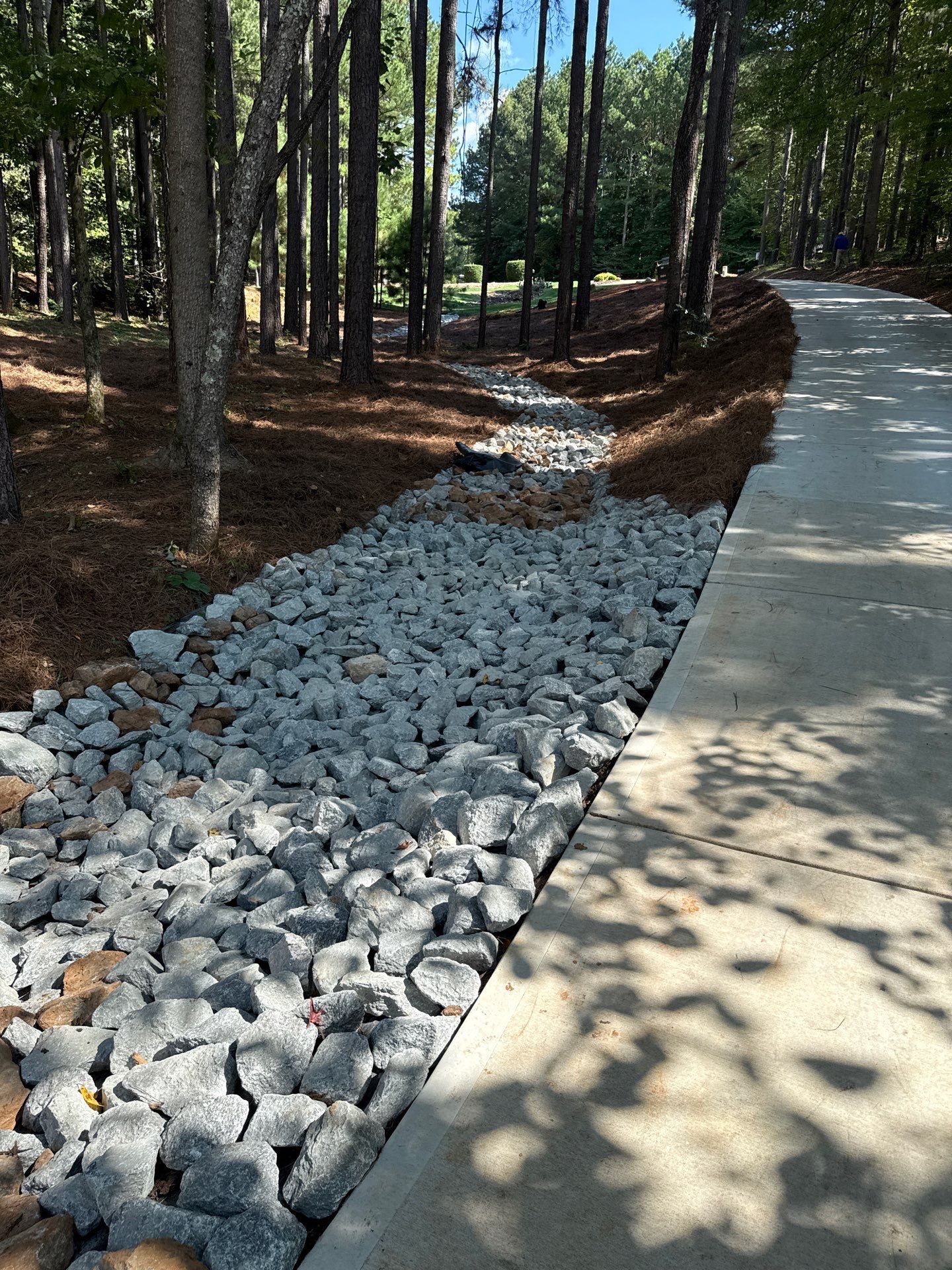 New Construction in Denver by Growing Edge Landscape & Design, Inc.