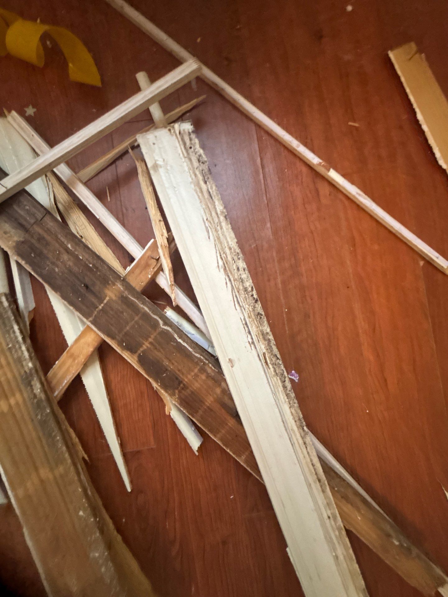 Water Damage Inspection In Bradenton Florida by Ampm Restoration Services