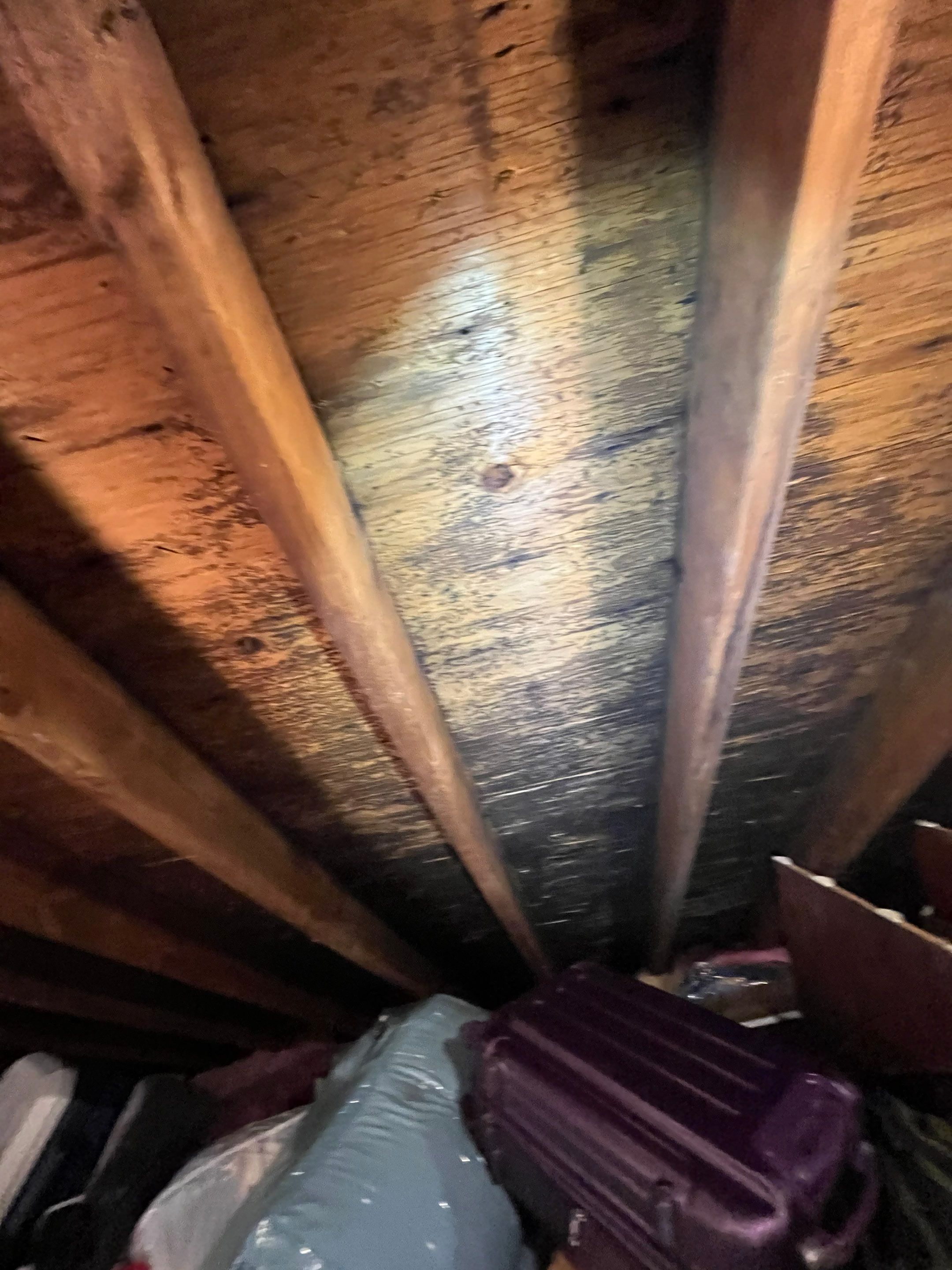 Residential Roof Repairing by Infinity Solar Systems