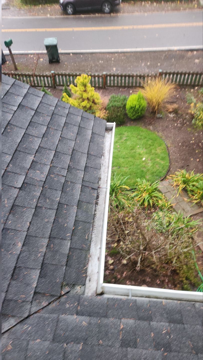 Driveway Repair using Pressure washing no chemicals by Willamette Outdoor Wash LLC