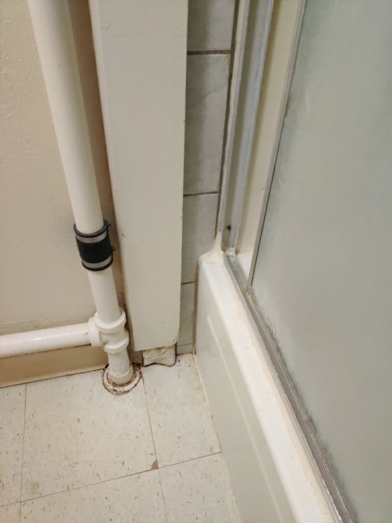 Mold Remediation in Basement by Accountable Home Services