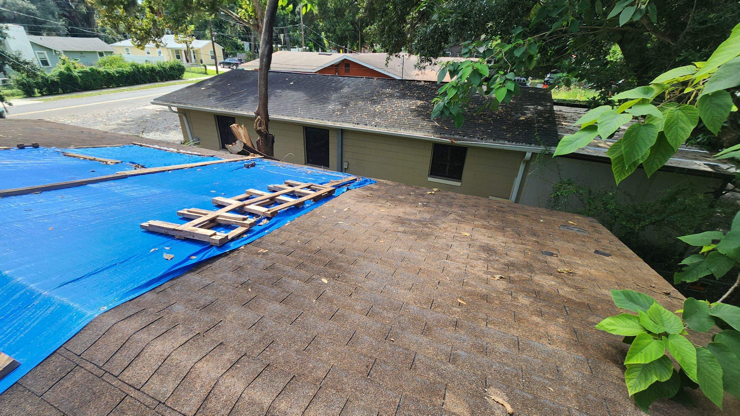 Tree Damage Claim in Orlando by FLAPA & KeyStone
