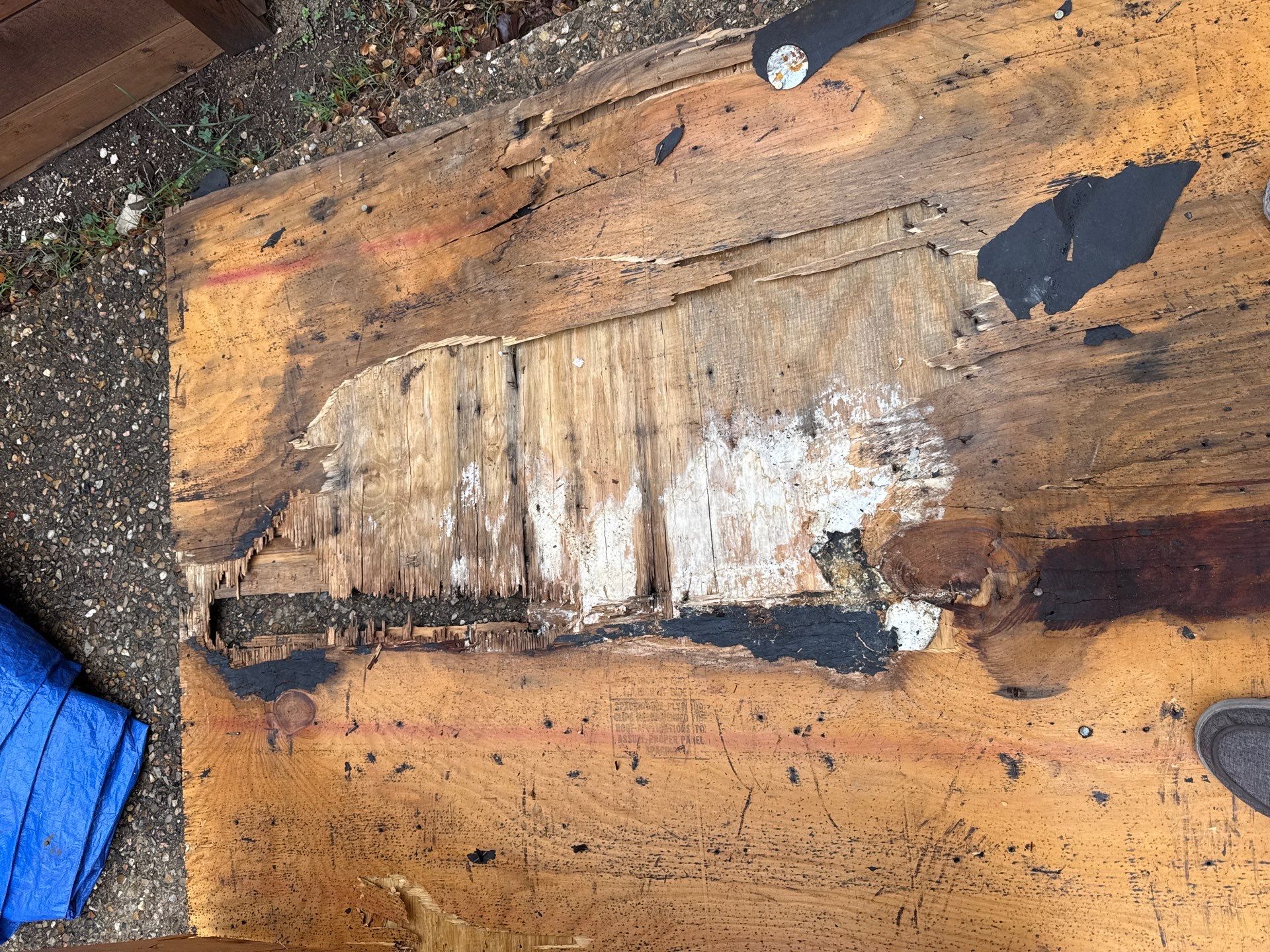 Project in Austin by Rhino Roofing and General Contracting, LLC