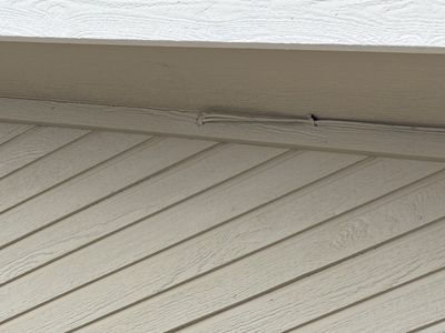 Project in Elizabeth