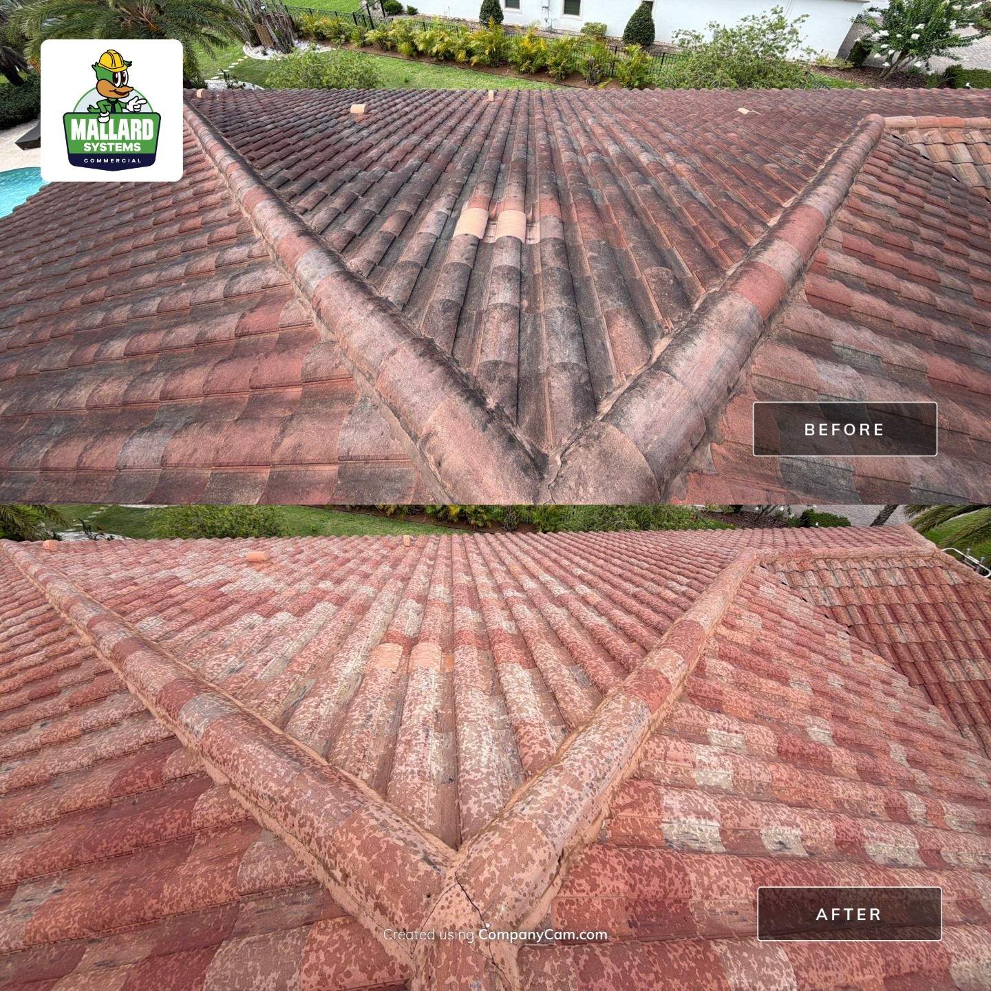 Barrel Tile Roof Cleaning in Windermere by Mallard Systems