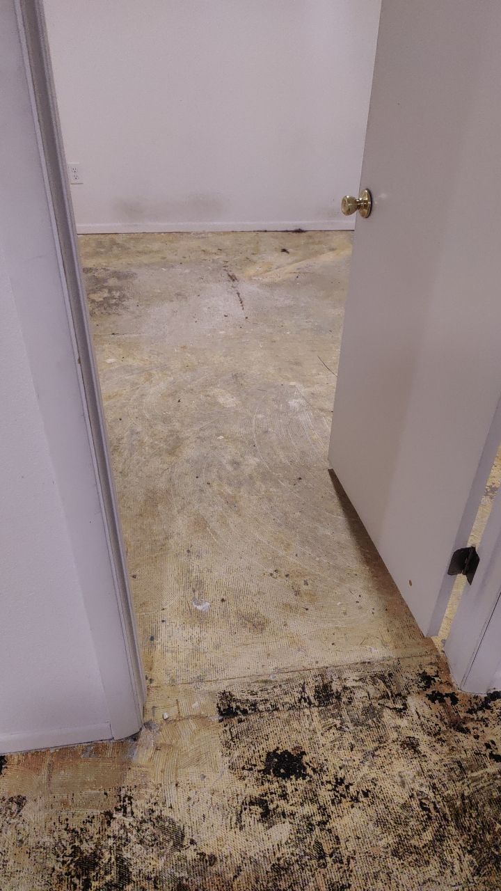 Water Damage by Accountable Home Services