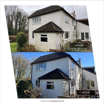 Render Clean using Pureseal Biocide