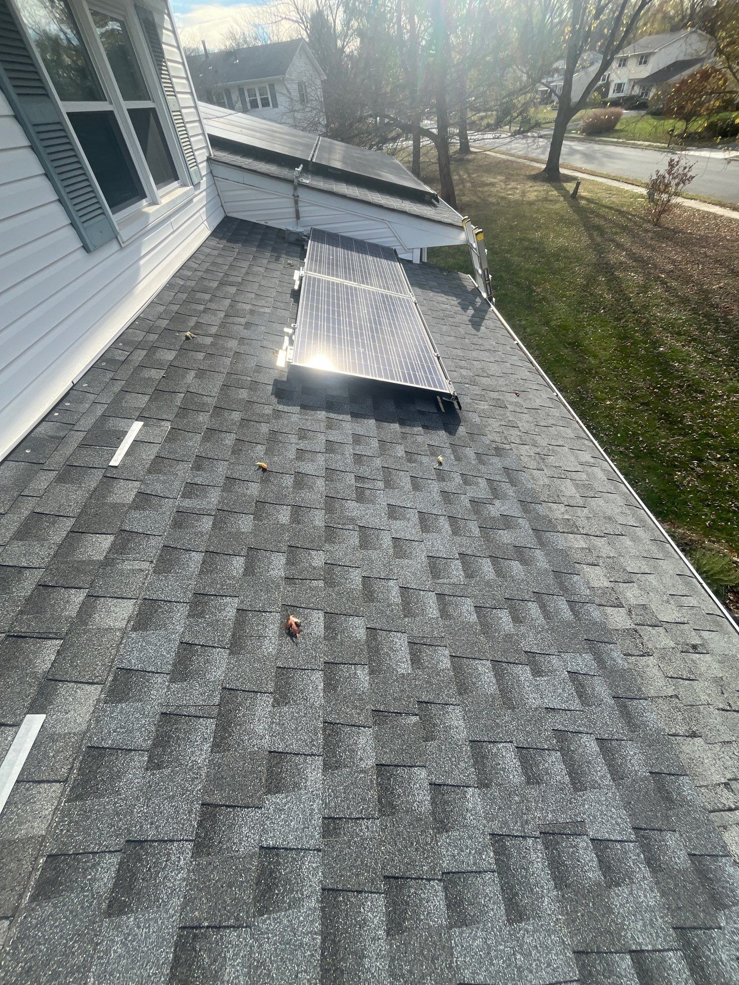 Silver Birch Shingles by Reimagine Roofing