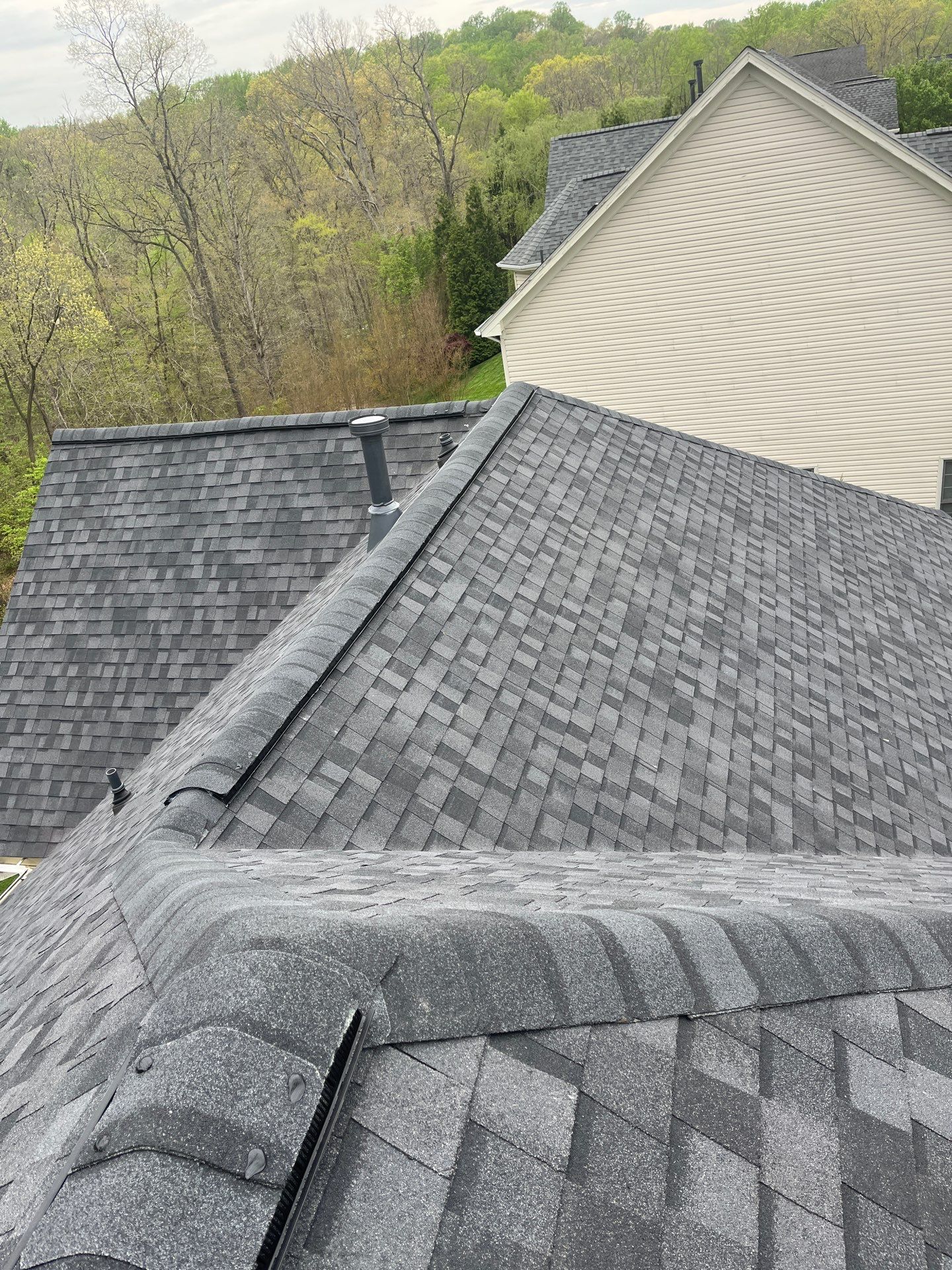 Springfield: CertainTeed Landmark Pro Designer Shingles in Max Def Moire Black by RM Banning, Inc.