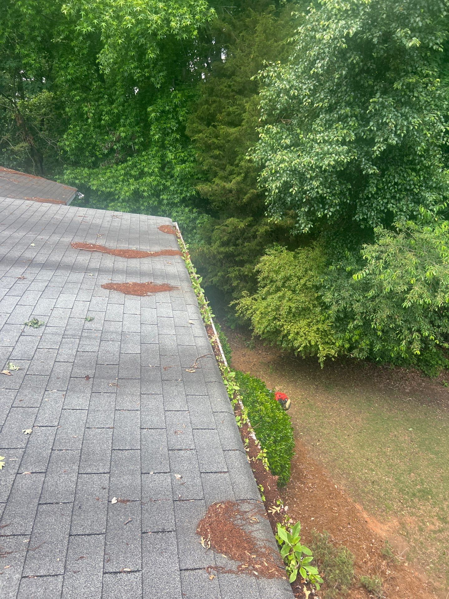 Commercial gutter cleaning Simpsonville & Easley, SC before photo with filled gutters