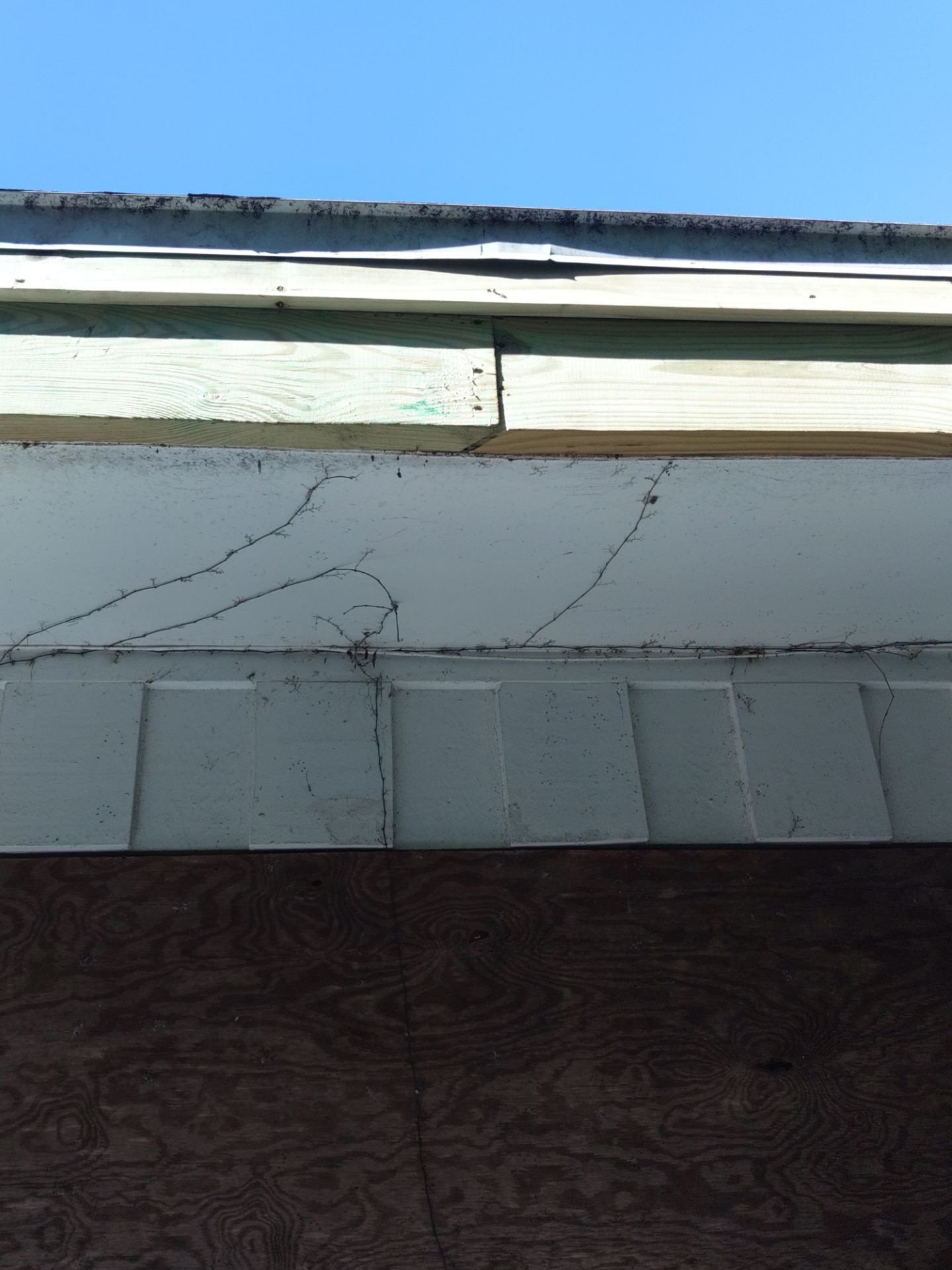 Gutter and Fascia Repair and Maintenance in Siesta Key FL by Gutter Professors