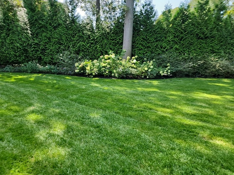Landscape Design by elegant Lawns