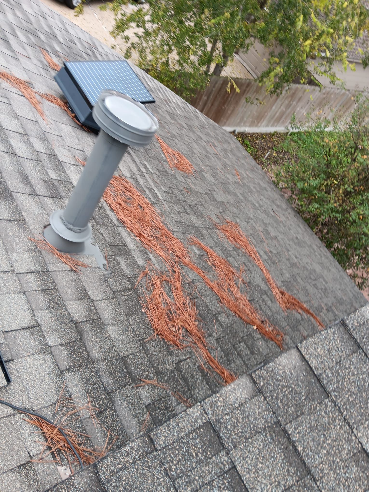 Roof Repair Spring by Roof Repair Company
