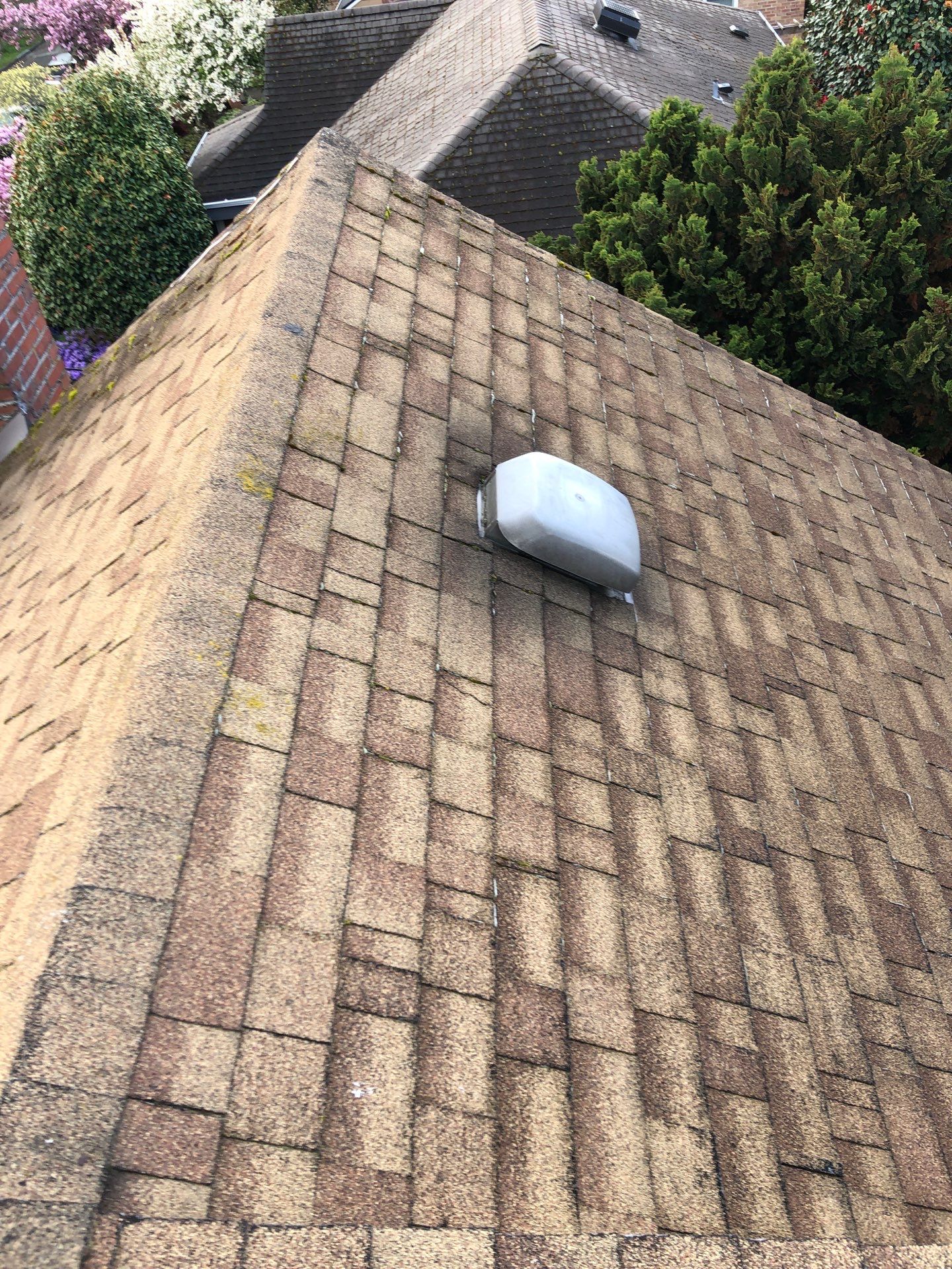 Project in Seattle by Connolly Construction Company