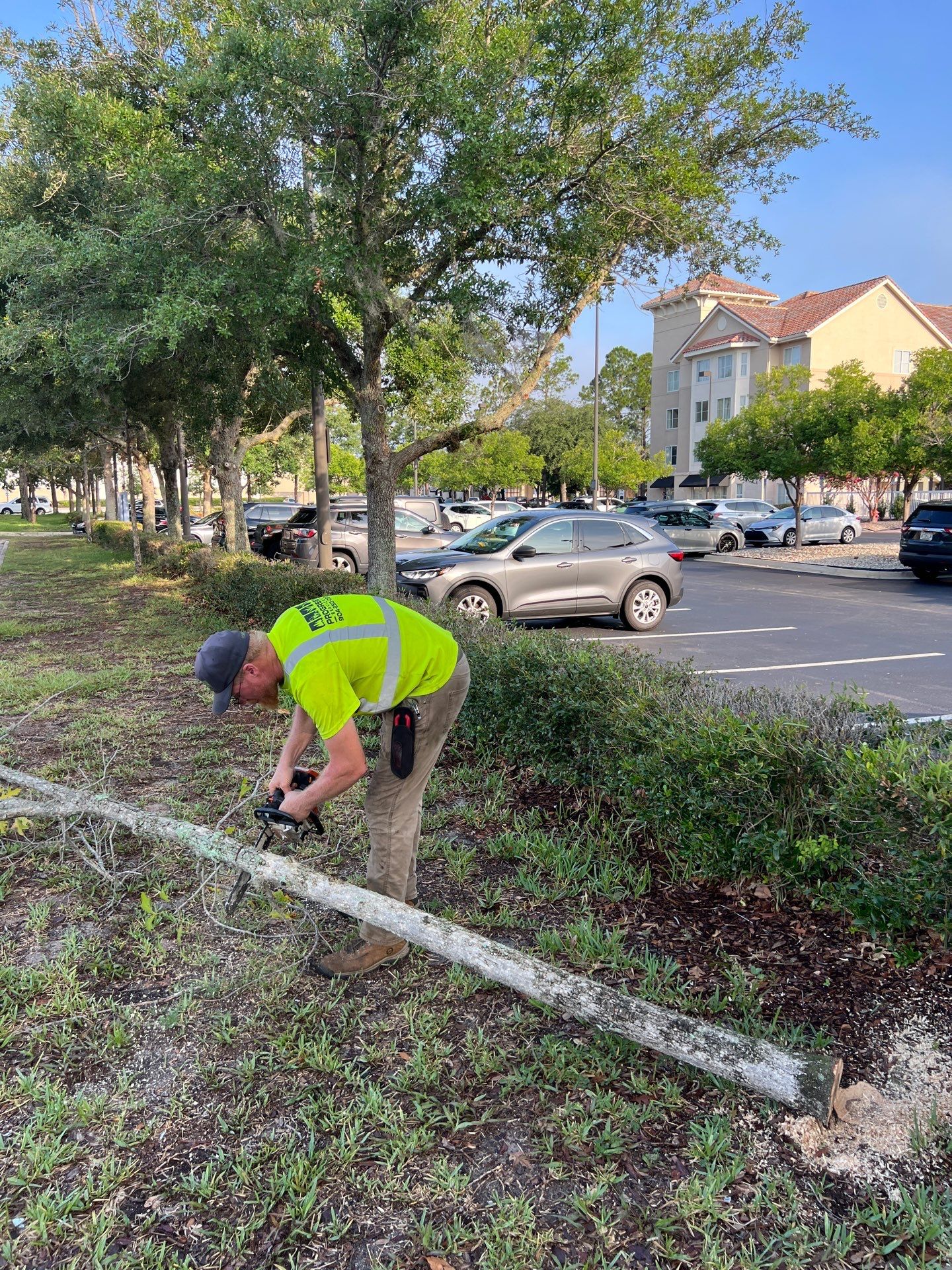 Homewood Suites | Tree Service by ProGreen Services