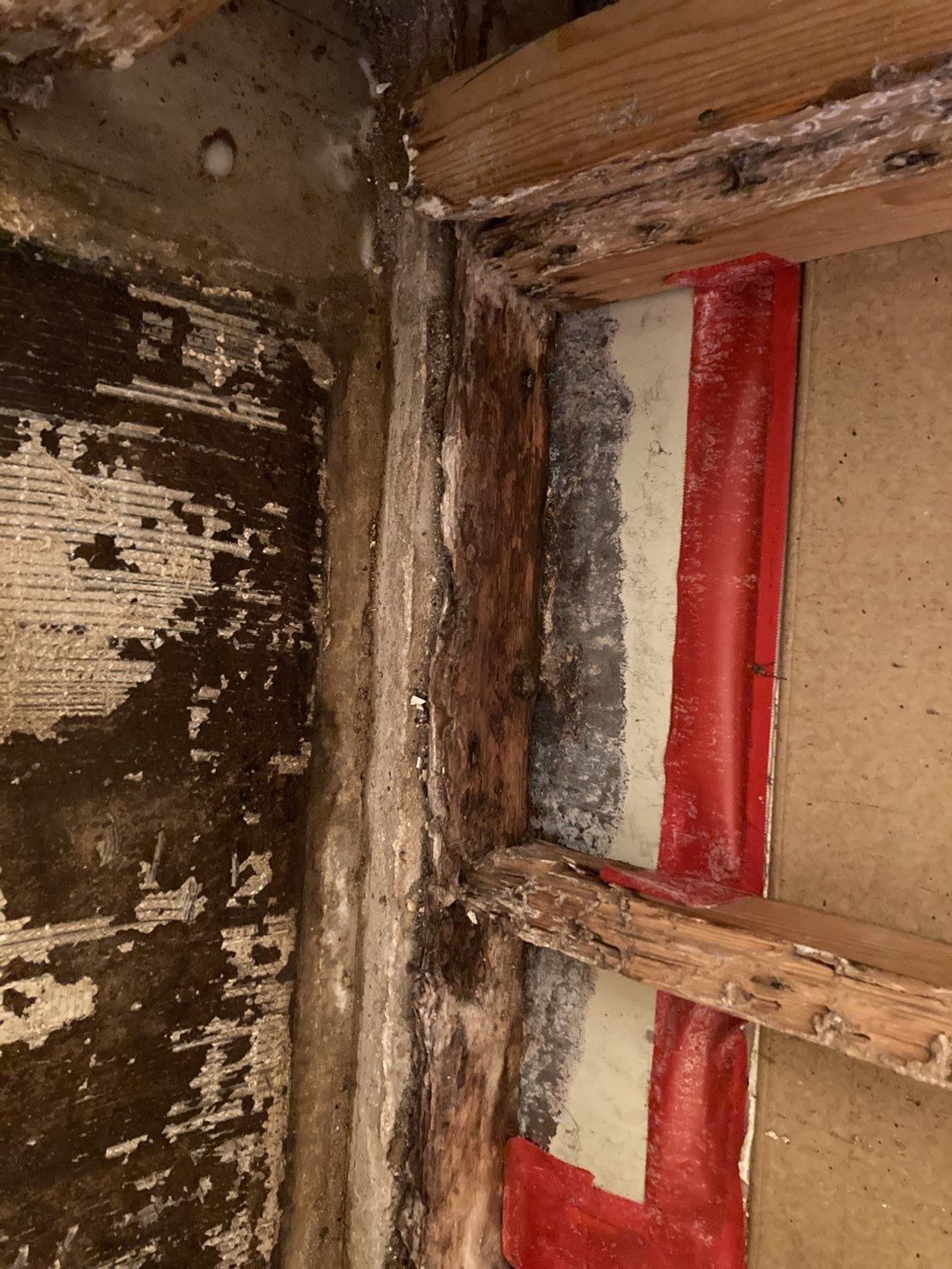 Water Damage Repair by Accountable Home Services