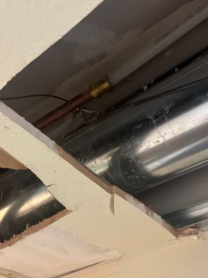 Project in Boulder