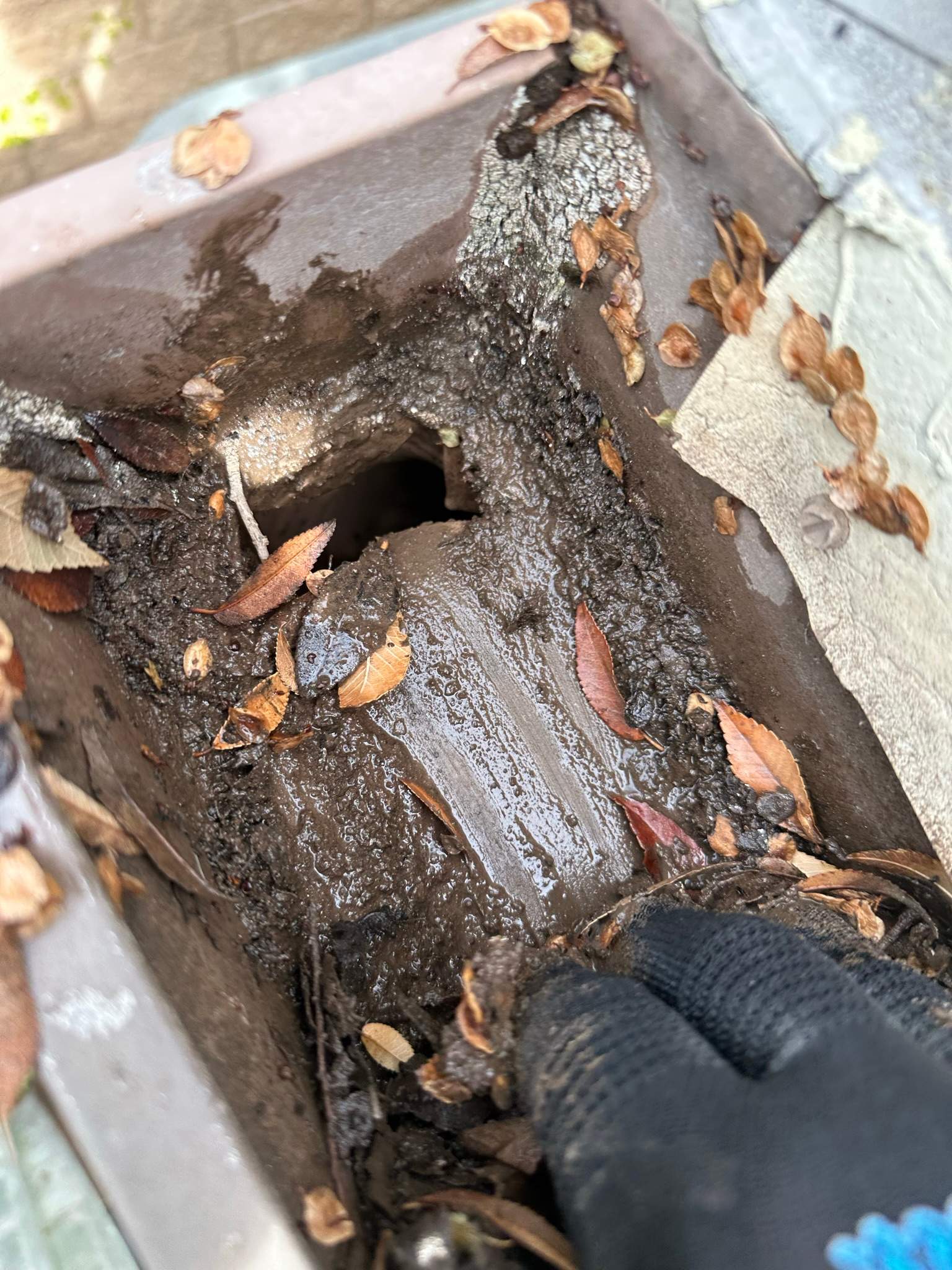 Clogged gutters at this Irvine home in Woodbury by Property Cleaning Experts, LLC