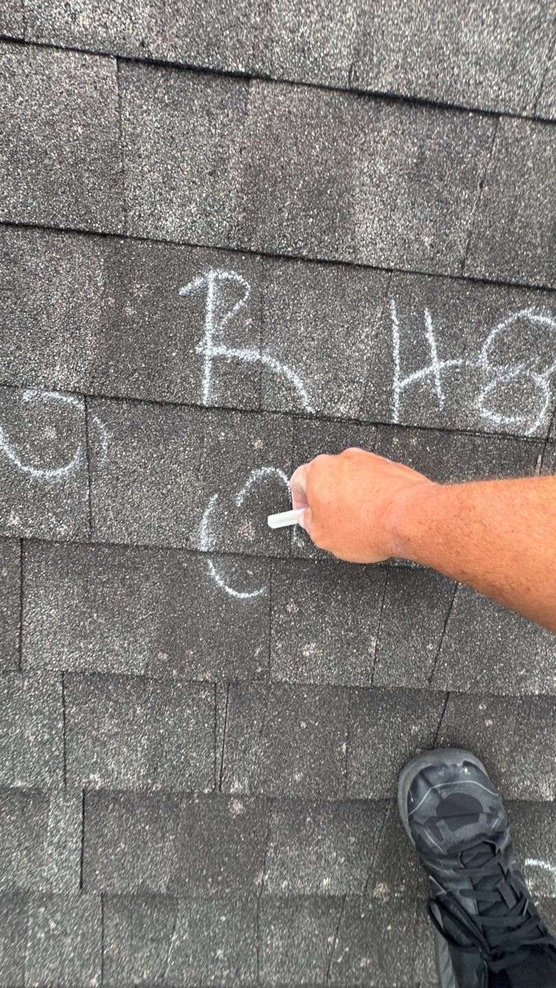 Franky Inspection by Boss Hogg Roofing