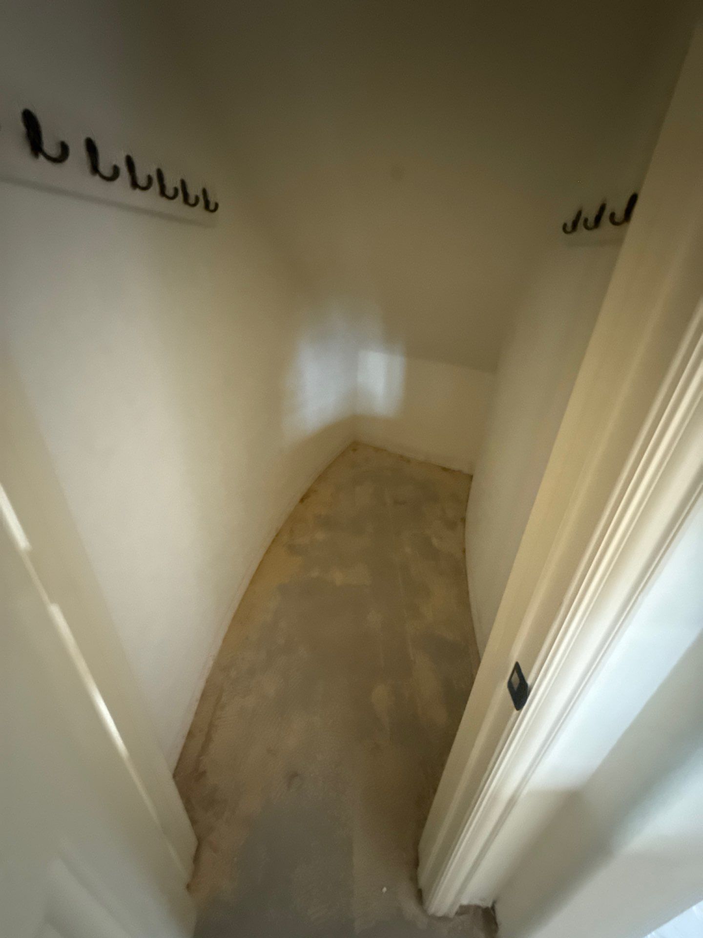 The DeSaro Family by SophAlx LLC