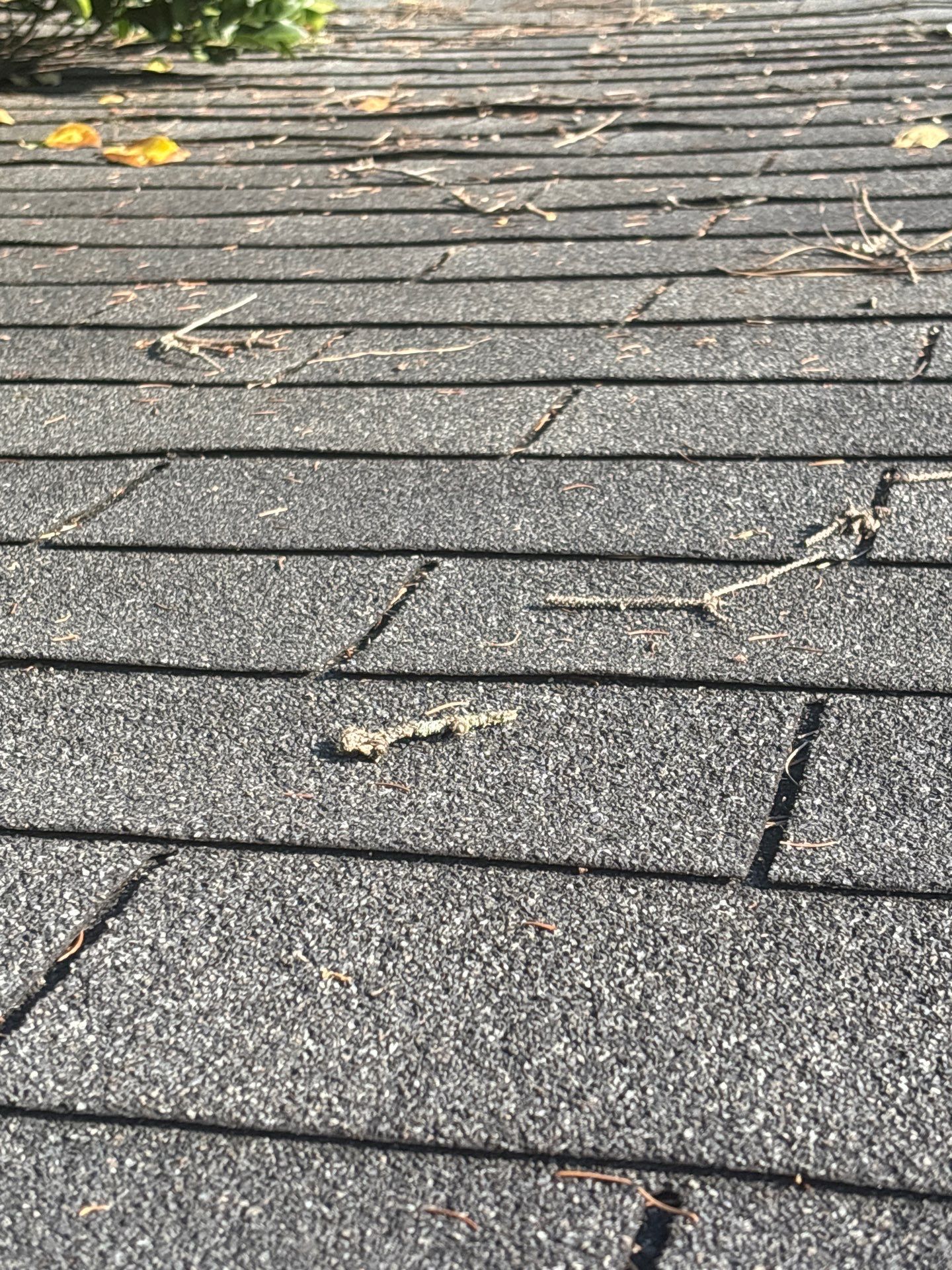 Project in Richmond by Roof Maxx of Midlothian