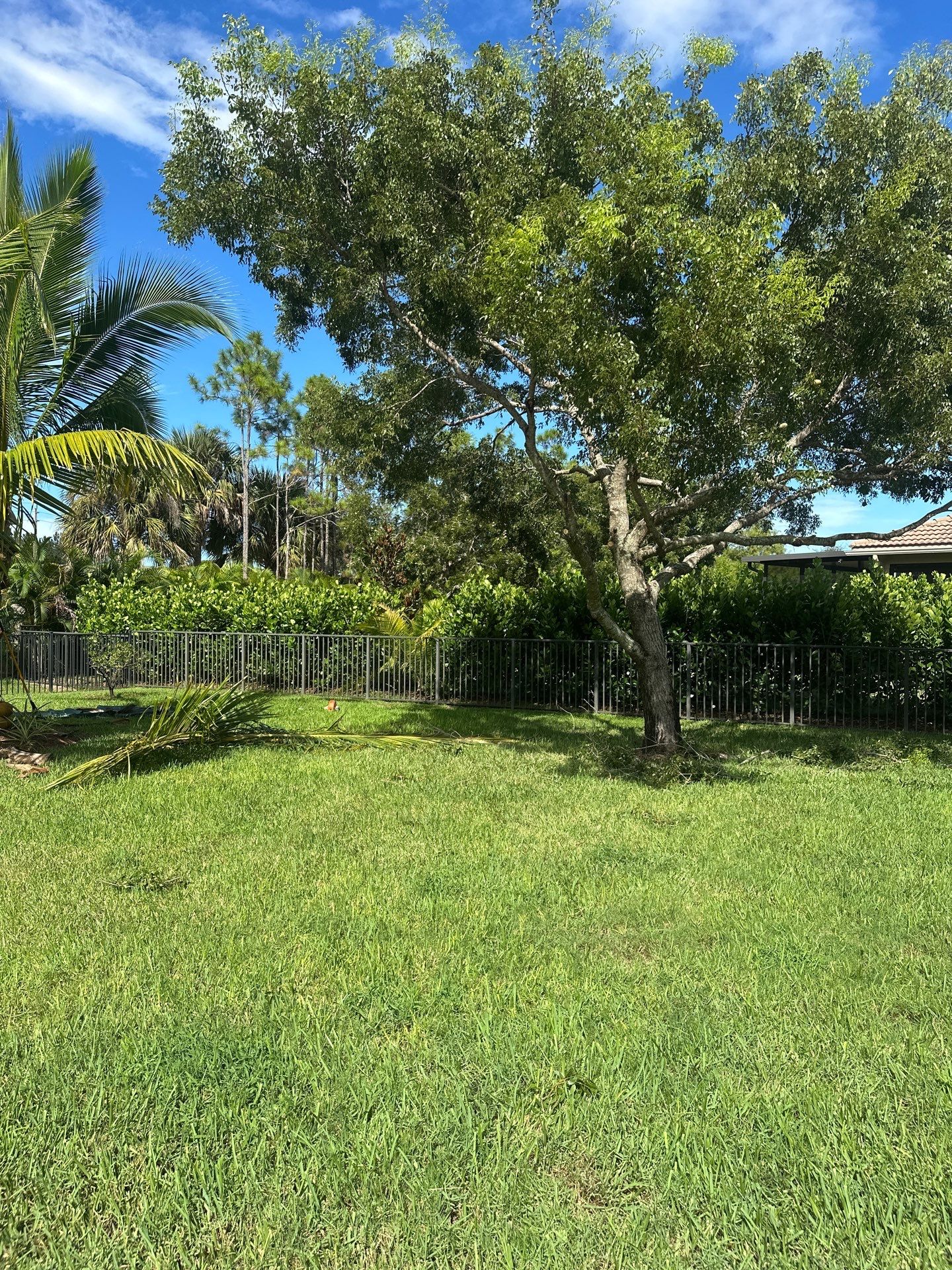From Overgrown to Picture-Perfect - Stuart Refresh by Alpha Zeta Enterprises Inc