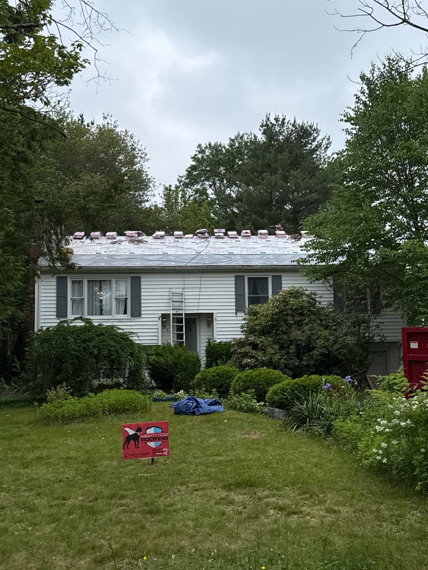 Gutters & Roofing | Acton by Mighty Dog Roofing of Greater Middlesex County