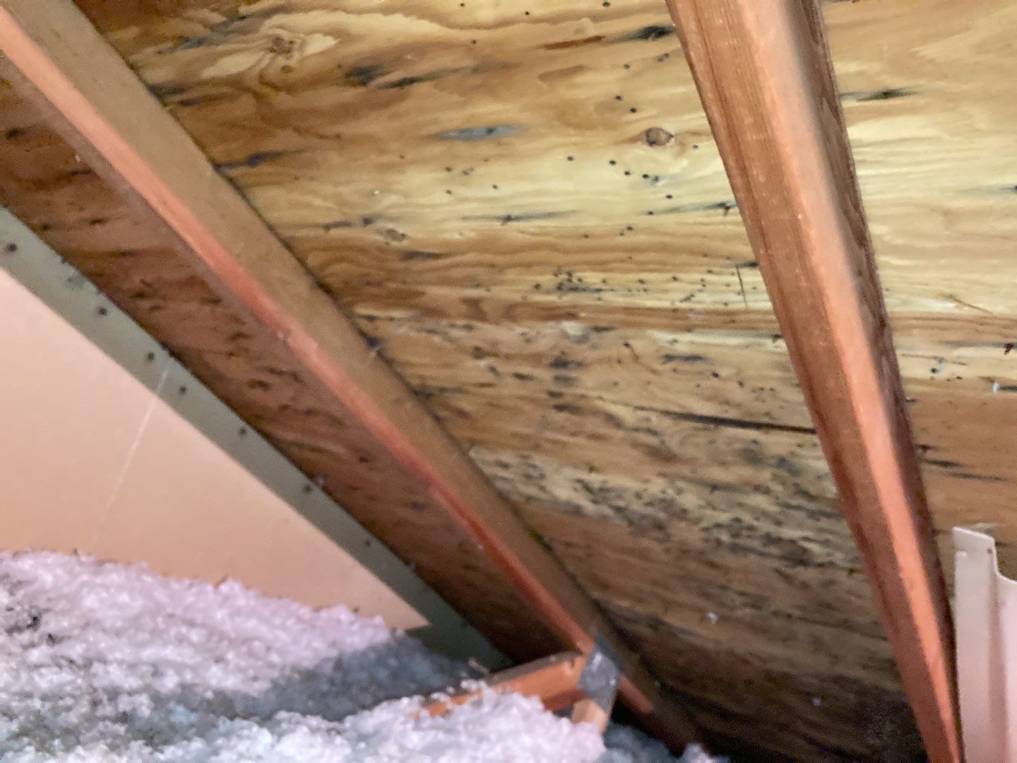 Mold Remediation in Attic by Accountable Home Services
