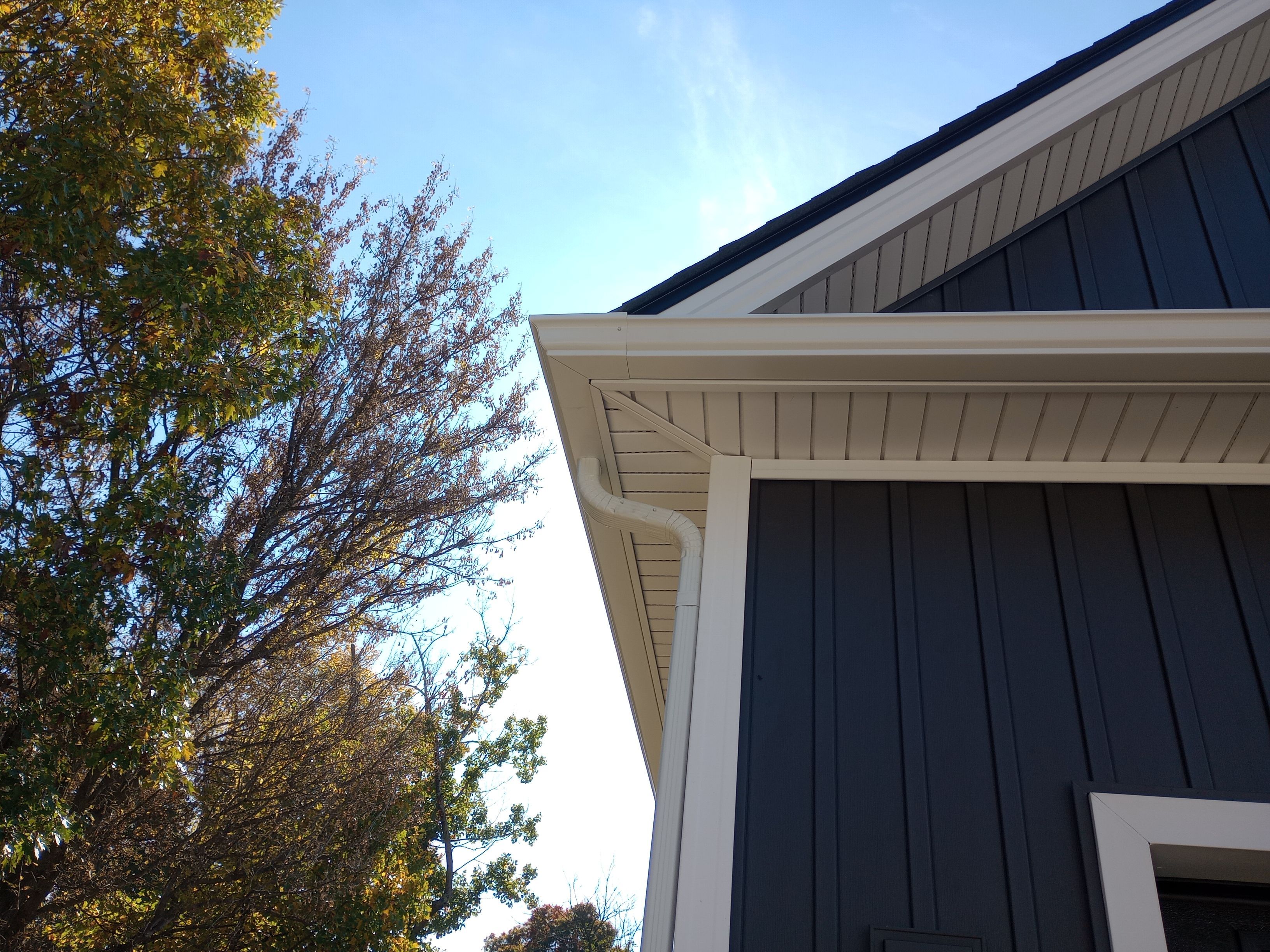 Doug Hair by Silver Leaf Contracting 