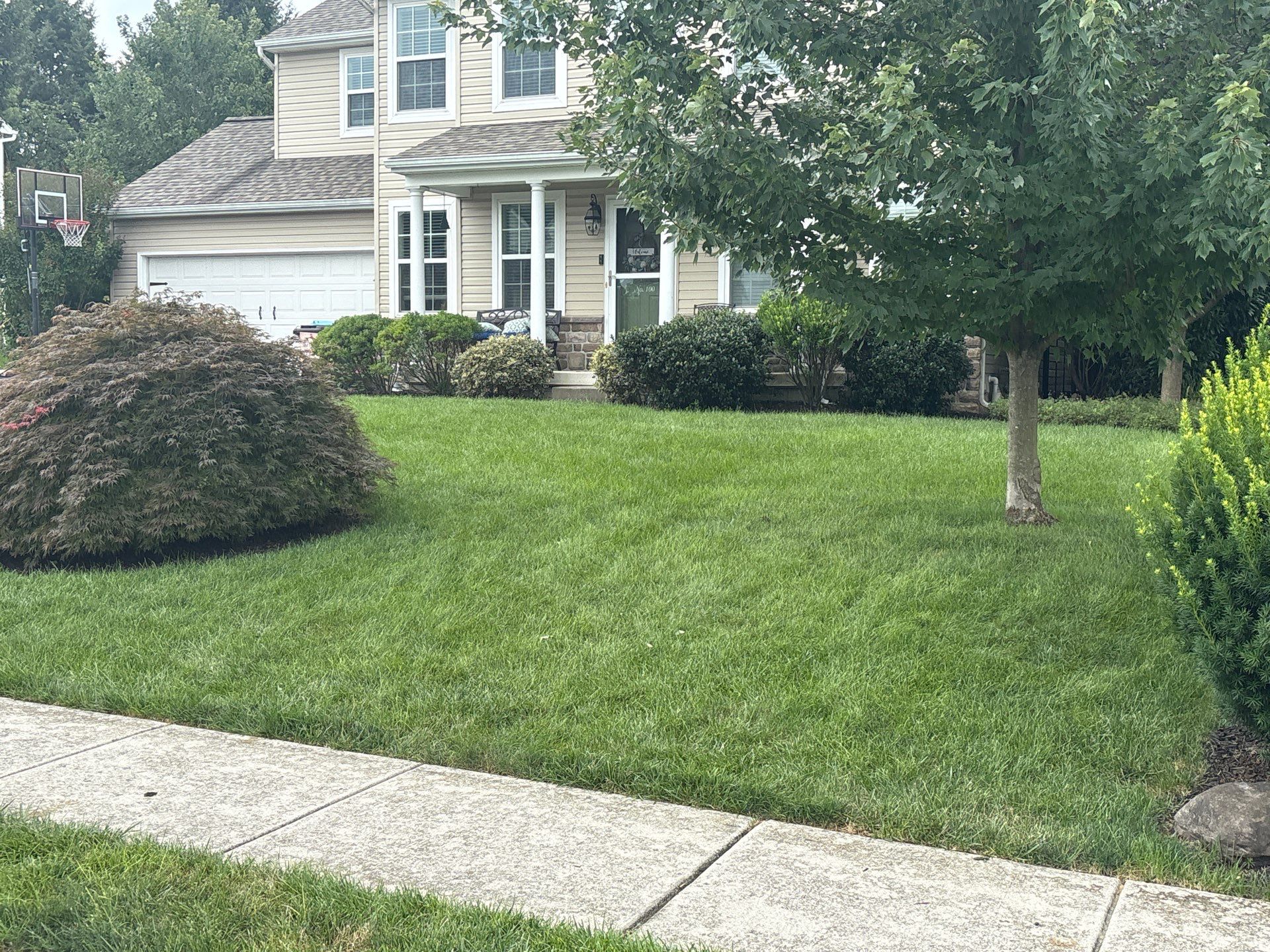 East York Pa by Go Green CLC