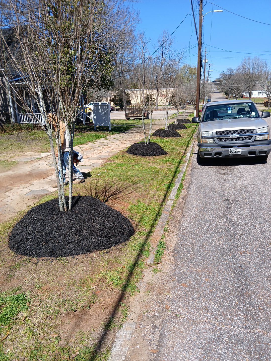 Enhancing Public Spaces: Municipal Landscaping Project