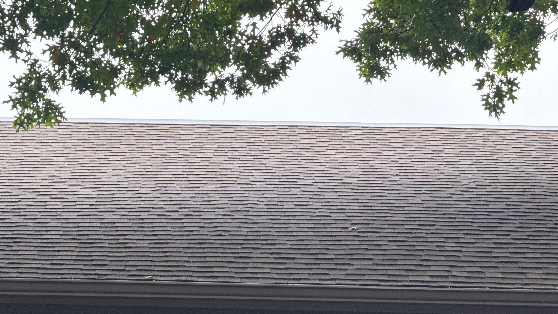Project in Richardson by Armor Roofing | Exteriors