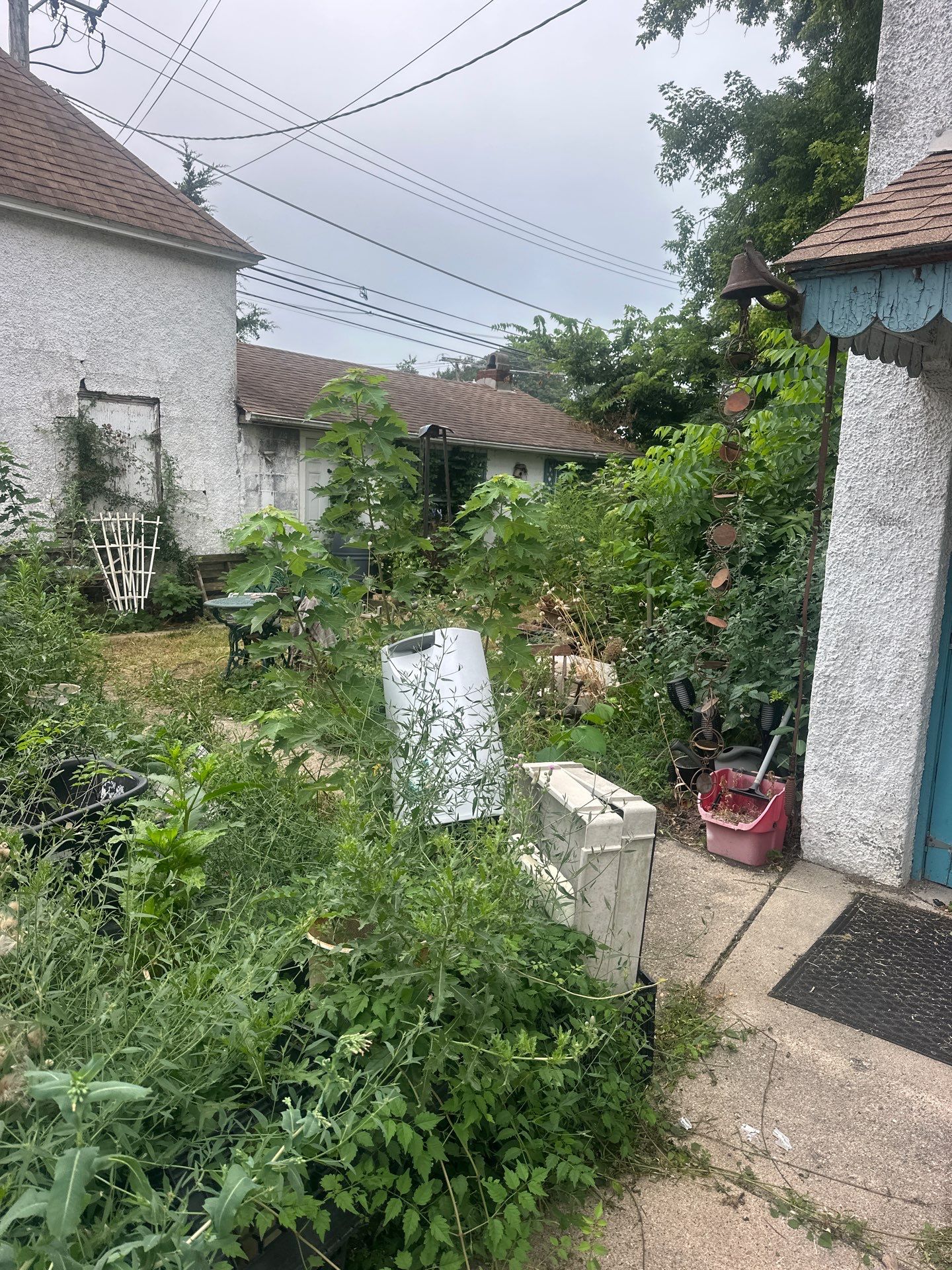 Michal Ann L. - Des Plaines, IL by A&N
