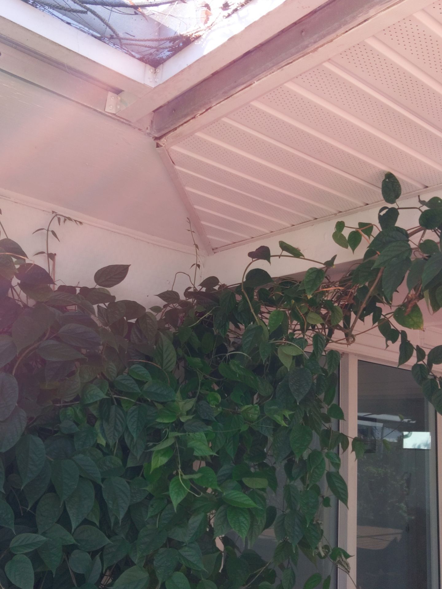 Soffit White Vinyl Installation FL by Gutter Professors