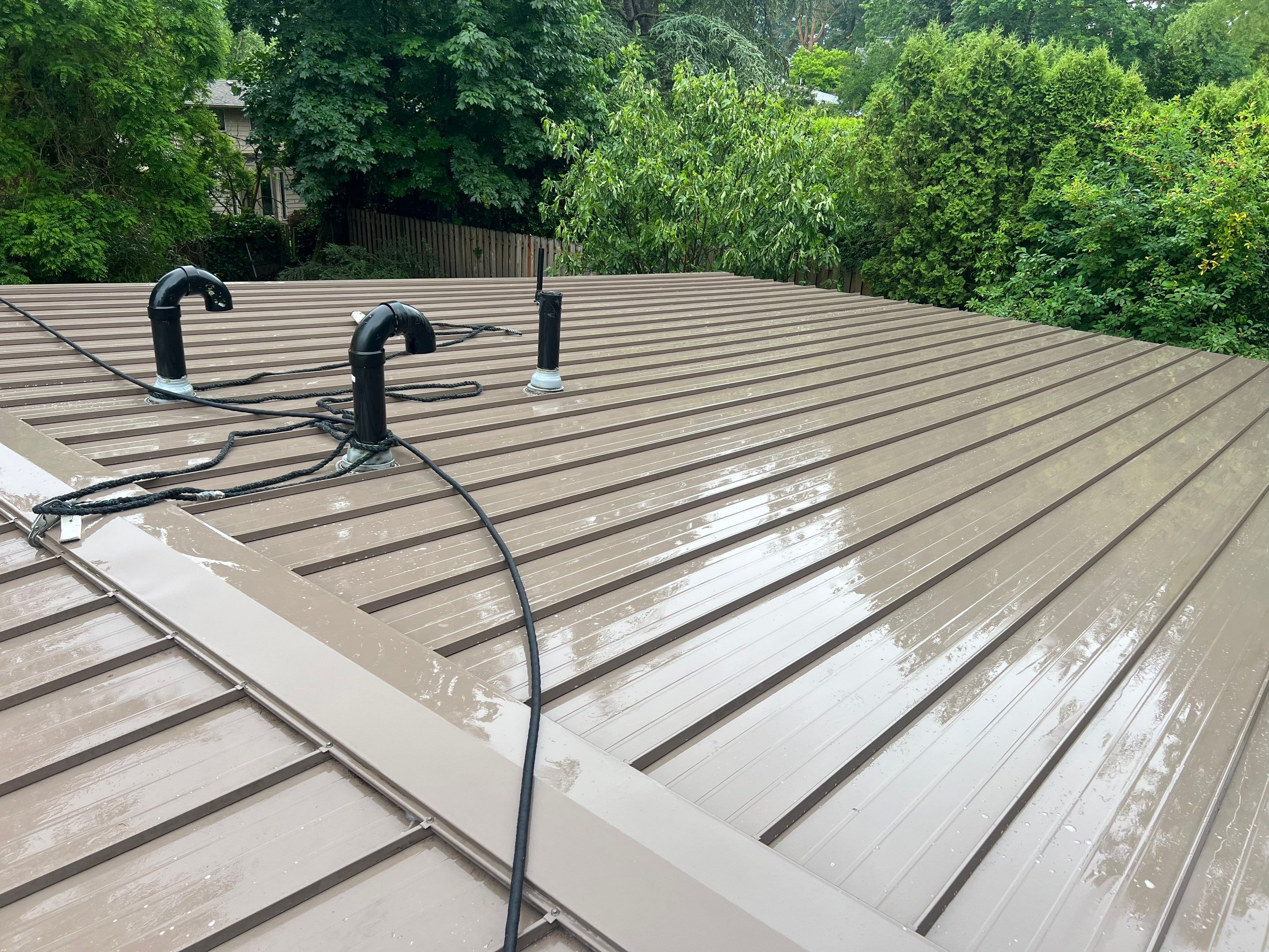 Roof Cleaning in Portland by Prodigy Roof Solutions