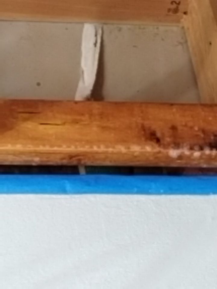 Water Damage by Accountable Home Services