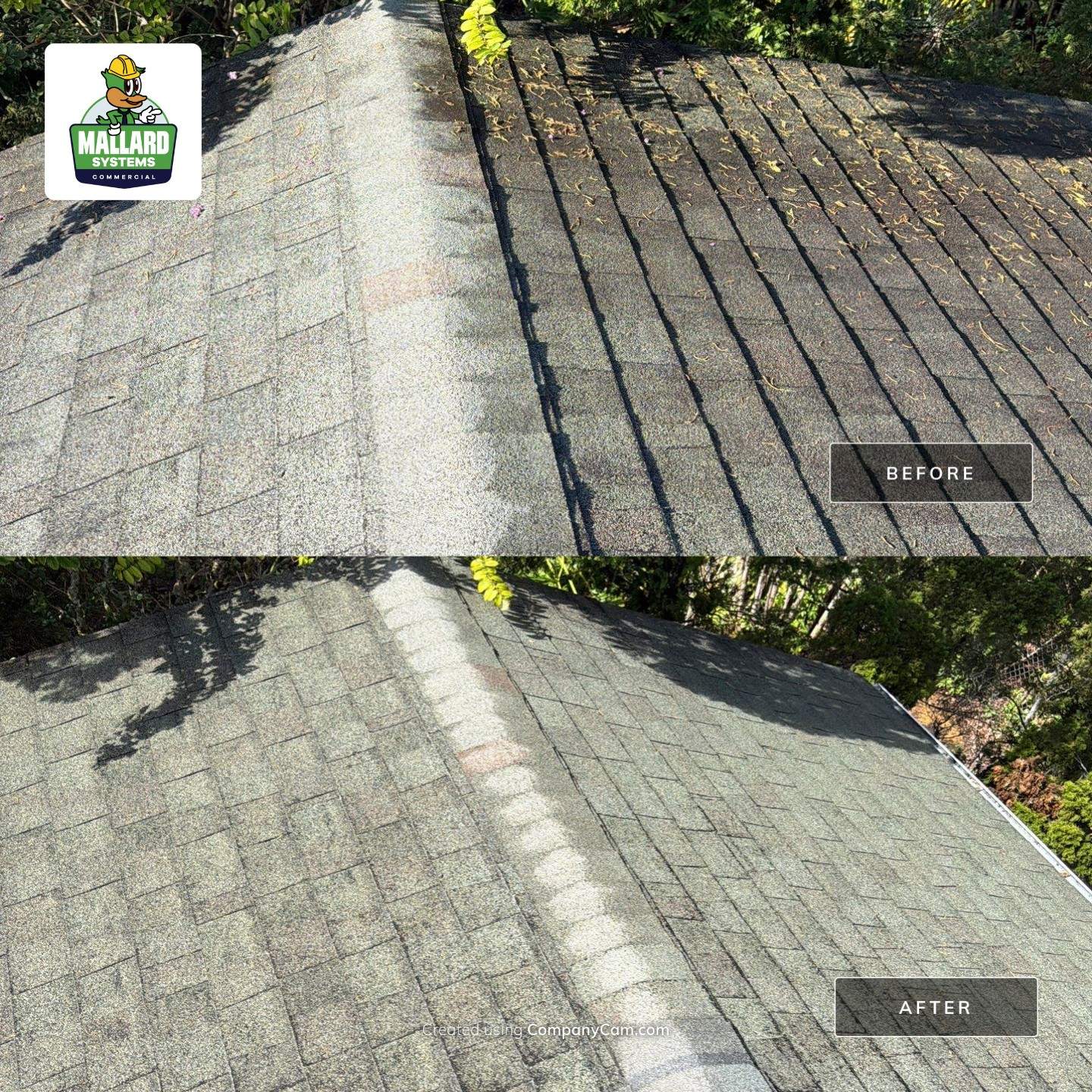 Residential Shingle Roof Cleaning in Orlando by Mallard Systems